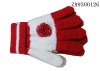 Wholesale Winter Cotton Glove