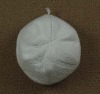 Wholesale baby caps