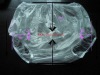 Wholesale Waterproof Baby Pants