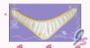 Wholesale baby bibs