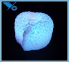 Wholesale Top LED Toy