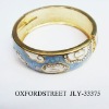 Wholesale 2011 the newest alloy bangle