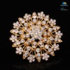 Wholesale New fashion crystal brooch pin