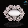 Fashion Crystal Brooches