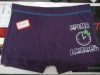 Wholesale 2010 newest Modal comfortable men's underwear