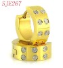 Wholesale 316L New Popular Style Stainless Steel Earring With CZ Stone