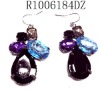 Wholesale Dangle earrings R1006184DZ