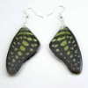Wholesale Fashion earing--real butterfly wing jewelry