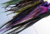 2011 fashion feather earringF007