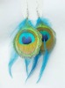True Colors Feather Earrings