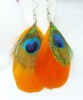 True Colors Feather Earrings