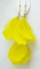 True Colors Feather Earrings