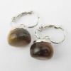 Fashion Charm earring , fashion earring