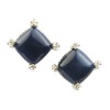 Charm Turquoise Clip Earring