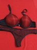 Wholesale basic bra set
