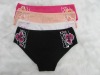 Wholesale 2010 ladies lingerie