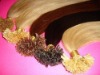 Wholesale pre bonded human hair extension