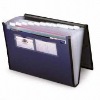 Wholesale Expandable expanding pockets File Folder