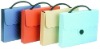 Wholesale A4 colorful plastic document case with handle for business