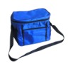 Wholesale Picnic cooler bag