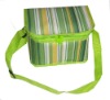 Wholesale Can cooler bag