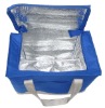 Wholesale Fashion nonwoven outdoor cooler bag