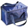 Wholesale Customized cooling bags