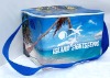 Wholesale new design pp woven cooler bag