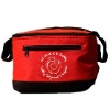 Wholesale promotional cooler bag high quanlity cooler bags