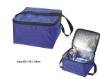 Wholesale Lunch cooler bag(FE01011)