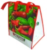 Wholesale CB015 Food ice bag