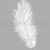 Wholesale white ostrich feather, white wedding feather, ostrich feather decoration parts