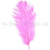 Wholesale ostrich single feather|clothing ostrich feathers|white ostrich feather