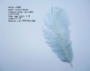 Wholesale ostrich feather