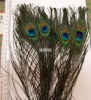 Wholesale natural peacock tail feathers, about 15"(40-35cm)