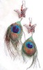 Wholesale 2011 fashion feather earringF006