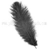 Wholesale Ostrich feather wedding accessories|wedding feather accessories|black ostrich plume feather