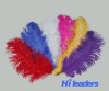 Wholesale Decorative dyed ostrich feather