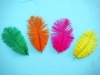 Wholesale Ostrich feather