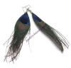 Wholesale fashion feather earringF002