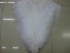 Wholesale Ostrich Feather
