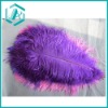 Wholesale Ostrich Feather