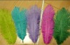 Wholesale Ostrich Feather