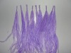 Wholesale Ostrich Feather