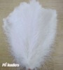 Wholesale Decorative dyed ostrich feather
