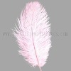 Wholesale China ostrich feather|earring parts feather|china feather accessories