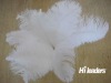 Wholesale Decorative dyed ostrich feather