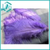 Wholesale Ostrich Feather