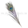 Wholesale peacock fishing feather, fishing feather, fishing decoration feather