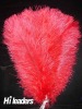 Wholesale Decorative dyed ostrich feather
